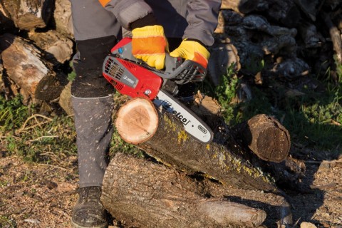 Motosega professionale da potatura EFCO MTT 2500 barra rocchetto 1/4"